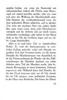 Tschechische Erzähler, übertragen.