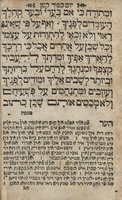 תפלות ביום כפור קטון : לפ"ק בתענית ערב ר"ח ... נדפס בלשון הקודש ובלשון אשכנז ... חיבור [!] הפירוש שקורין טייטש ... / מוהר"ר נתן חזן דק"ק פרוסטיץ ...