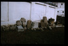 Fragments. Photograph of: Tombstones in Pirot