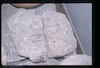 Photograph of: Fragments of tombstones from a destroyed Jewish cemetery in Vlorë.
