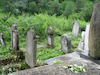 Photograph of: Jewish Cemetery in Rakhiv.