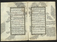 الحاشية الفتحية.