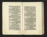 ريحانة الألباء وزهرة الحياة الدنيا.
