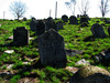 Photograph of: Jewish Cemetery in Berezhany.