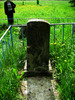 Photograph of: Jewish Cemetery in Dubrovno.