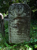 Photograph of: Jewish cemetery in Rozhniativ (Rożniatów).