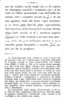 L'arabo parlato in Egitto.