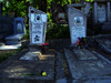 Photograph of: Jewish Cemetery in Orhei (Orgeev).