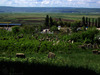 Photograph of: Jewish Cemetery in Orhei (Orgeev).