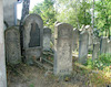 Photograph of: Jewish Cemetery in Radomsko.