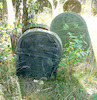 Photograph of: Jewish Cemetery in Radomsko.