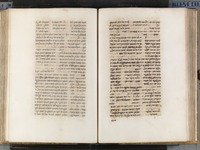 ספר התמונה.