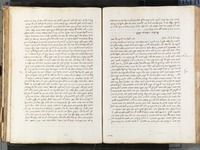 מאירת עינים.