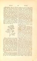 A Biblical and theological dictionary : for Bible classes, Sunday-school teachers, and young Christians generally ; designed as an illustrative commentary on the sacred scriptures / by Samuel Green.