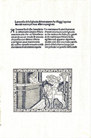 La novella della figliuola del mercante : Faksimile eines um 1500 in Florenz hergestellen Druckes im Besitze der Kgl. Universitätsbibliothek in Erlangen.