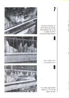 הוצאת פטמים מסוללות לשווק / מאת א' פרימר, א' ניר, ע' אברהם.