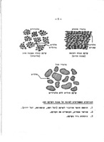 יחסי קרקע-מים-צמח : חומר עזר לקורסים של מתישבים / מאת י' האוזנברג.