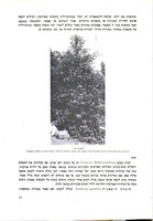 גיזום צמחי נוי : עצים, שיחים ומטפסים / מאת ו"ה צ'אנדלר ... ר"ד קורנל ... עברית מאת ח' לטה.