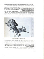 הרימון / מאת אסף גור, יעקב ליברמן ; בעריכת יעקב עצמון ...