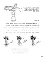 כרפס עלים לייצוא (סלרי) : הנחיות מקצועיות / אברהם איילון.