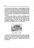 The Herzl Forest : (the Tree Fund).