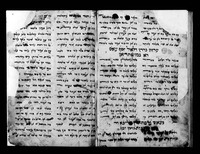 שאהין על התורה : פרפרזה בפרסית-יהודית.