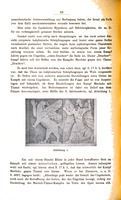 Babel und die biblische Urgeschichte : Vortrag gehalten in der Schlesischen Gesellschaft für Vaterländische Kultur am 28. Februar 1903 / von Max Löhr.