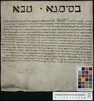כתובה. מונדובי, איטליה. תרל"ג.