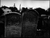 Photograph of: Jewish cemetery in Burshtyn (Bursztyn).