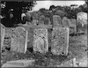 Photograph of: Jewish cemetery in Bolekhiv (Bolechów), photos 1990-91.