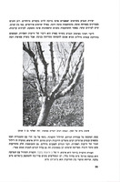 השזיף / מאת אסף גור, י' גרמי, ש' שפיגל ; בעריכת יעקב עצמון.