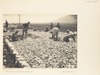 Construction of Affule-Shatta Road, September, 1936