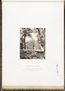 Cedars of Lebanon – הספרייה הלאומית