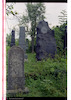 Photograph of: Jewish cemetery in Vinkovci.