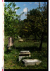 Photograph of: Old Jewish Cemetery in Križevci.