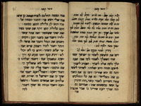 שעור קומה.
