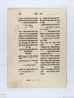 רוגז הזמן.