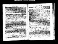חזון נחום (זרעים).