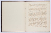 Autobiography of Abraham Pelengrino.