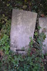 Photograph of: Jewish Cemetery in Briceni (Brichany) – הספרייה הלאומית