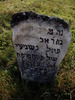 Photograph of: New Jewish Cemetery in Medzhybizh.