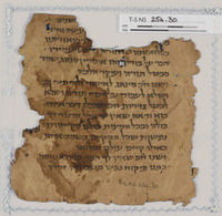 הלכה;ספרות הלכתית ופרשנות תלמודית;ספרות חז"ל.
