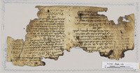 המרולוגיה/הורולוגיה.