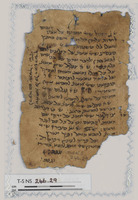 המרולוגיה/הורולוגיה.