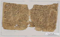 כתבים תיאורטיים;מרשמים מאגיים.