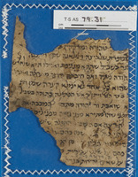 משנה [טקסט].