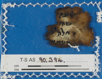 משנה [טקסט];ספרות חז"ל.