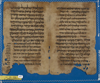 משנה [טקסט];תרגומי משנה.