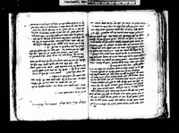 גפן פוריה.
