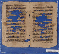 כתאב ג'אמע אלאלפאט'; מילונים.